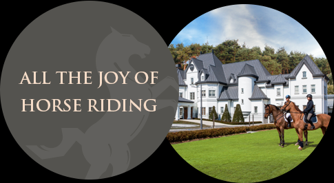 ALL THE JOY OF HORSE RIDING